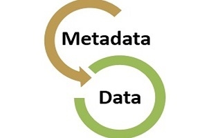 Metadata_Boknett